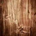 akigalawood