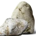 ambergris