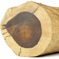 brazilian rosewood
