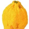 citron