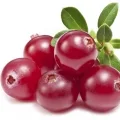 cranberry