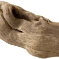 driftwood
