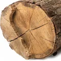 dry wood