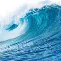 marine notes
