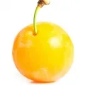 mirabelle