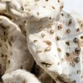 orris root