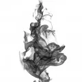 smoke