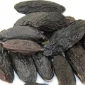 tonka bean